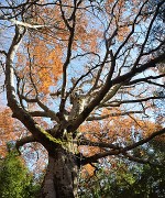 ArclusazBauges-2012-11-17-035
