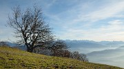 ArclusazBauges-2012-11-17-040
