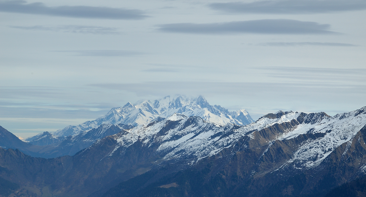 Rognier-121124-005.jpg