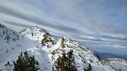 Rognier-121124-009