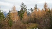 Rognier-121124-016