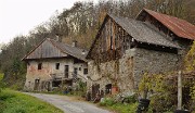 Rognier-121124-020