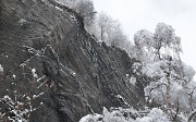 Tete-de-Vallon-121201-026