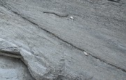 Tete-de-Vallon-121201-029