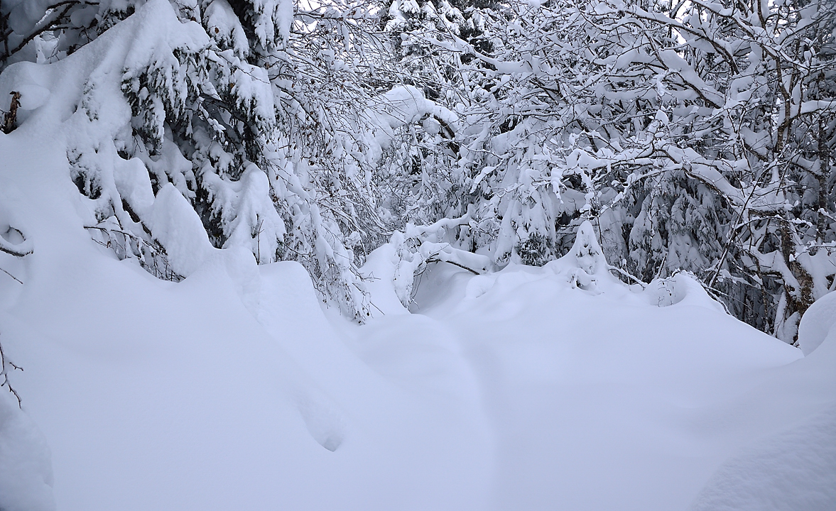 CocheAigleton-121209-004.jpg - Le depart sur le chemin pas tout a fait comme d'habitude