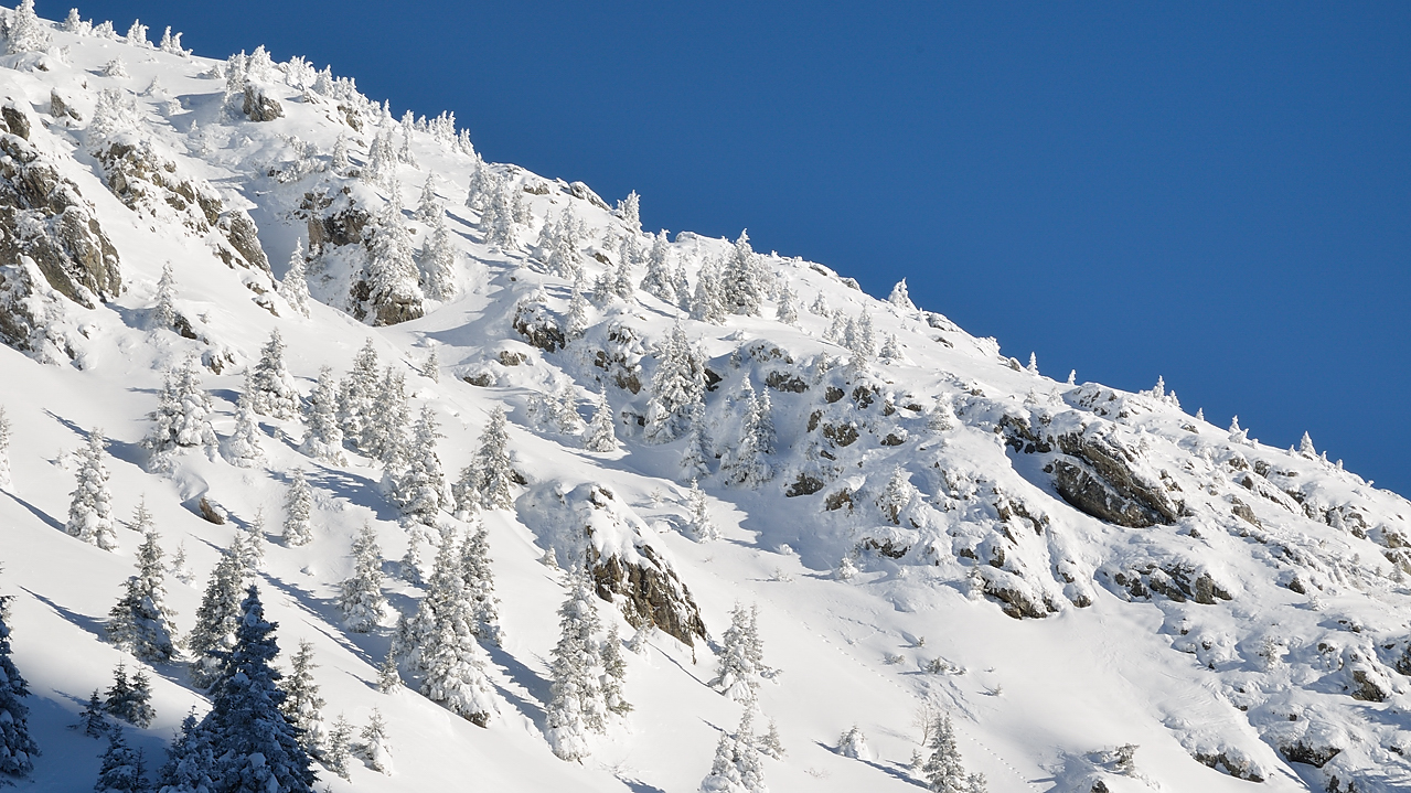 CocheAigleton-121209-018.jpg - pentes magnifiquement platrees