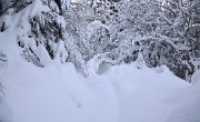 CocheAigleton-121209-004