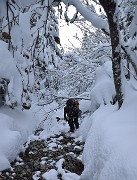 CocheAigleton-121209-006