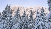 CocheAigleton-121209-012