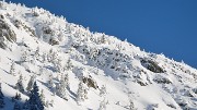 CocheAigleton-121209-018