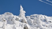 CocheAigleton-121209-024