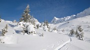 CocheAigleton-121209-033