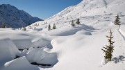 CocheAigleton-121209-049