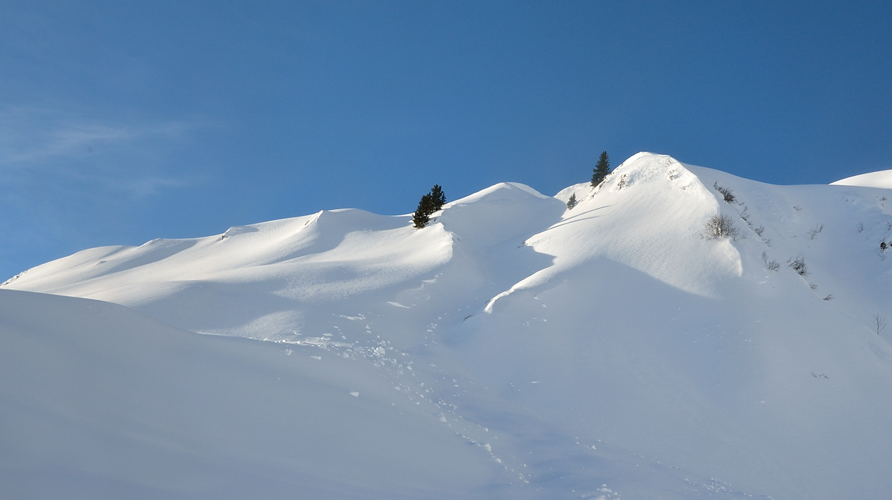 Rognolet-121229-003.jpg - jolies courbes