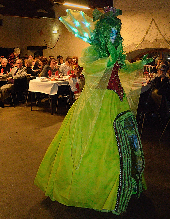 Chapotet+n-a-rus-2013-01-12-085.jpg - Olga en "princesse grenouille" -- costume qu'elle portera au carneval de Venise