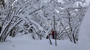 Chapotet+n-a-rus-2013-01-12-013