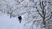 Chapotet+n-a-rus-2013-01-12-019