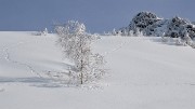 Chapotet+n-a-rus-2013-01-12-031