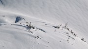 Chapotet+n-a-rus-2013-01-12-059