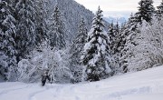 Chapotet+n-a-rus-2013-01-12-079