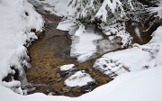 Gazonne-130125-001