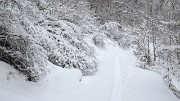 Gazonne-130125-002