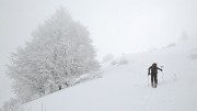 Gazonne-130125-007