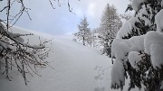 RocherDavie-130203-005