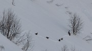 GrdValoire-130216-014