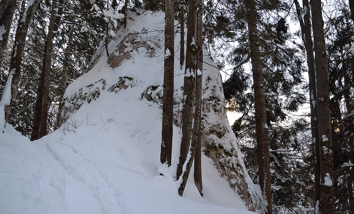 StMeme-130217-001.jpg - En premiere partie une foret bien raide ou le chemin joue a cache-cache