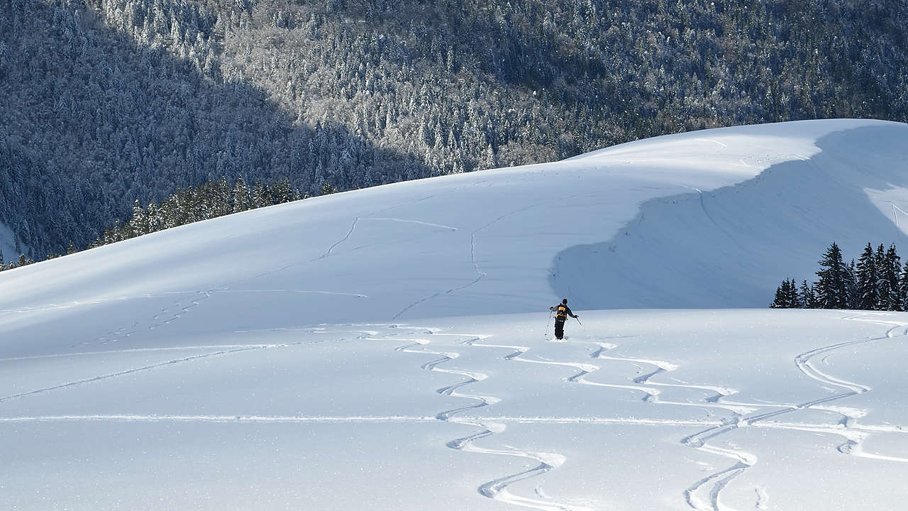 StMeme-130217-033.jpg - Encore des belles traces