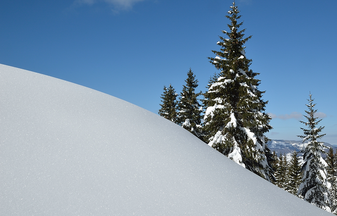 StMeme-130217-035.jpg - belles courbes
