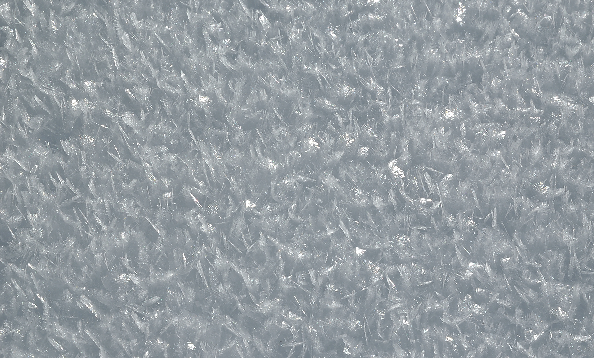 StMeme-130217-036.jpg - neige