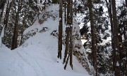 StMeme-130217-001