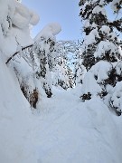 StMeme-130217-006