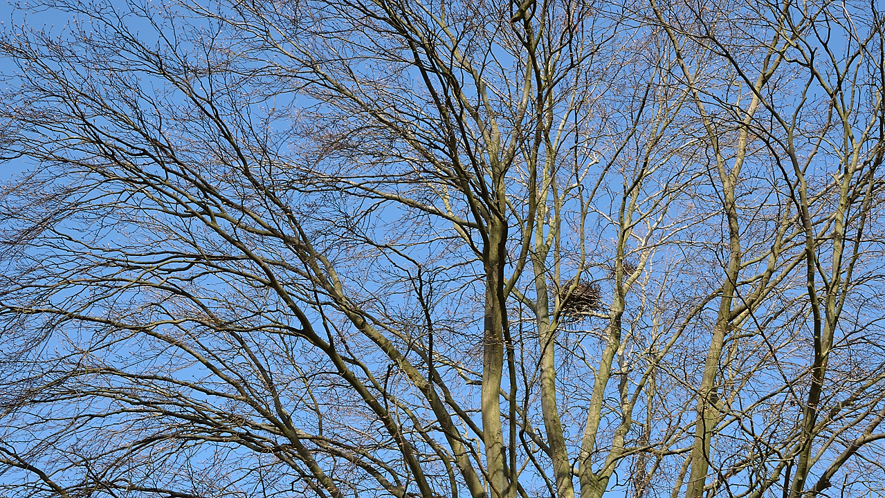 Lund-LCCC-20130419-154-.jpg - not yet spring ?