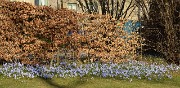 Lund-LCCC-20130417-002-