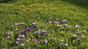 Lund-LCCC-20130417-007-