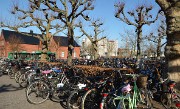 Lund-LCCC-20130419-130-