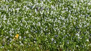 Lund-LCCC-20130419-143-