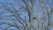 Lund-LCCC-20130419-154-
