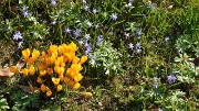 Lund-LCCC-20130419-156-