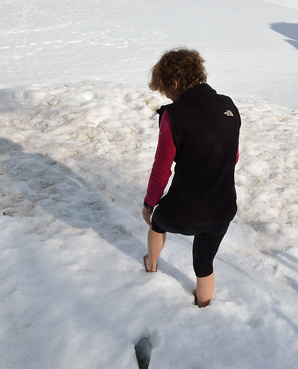 Nevache-20130423-030.jpg - Il y en a qui se rafraichissent dans la neige ...