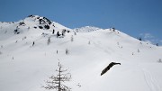 Nevache-20130423-013