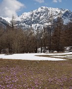 Nevache-20130423-016