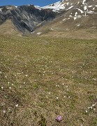 Goleon-20130504-027