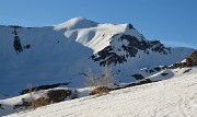 1-Piolit+Paria-20130508-003