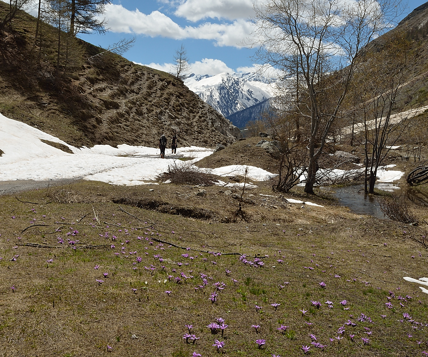 2-FaurioMonetier-20130511-091.jpg