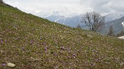 2-FaurioMonetier-20130509-001