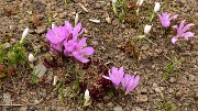 2-FaurioMonetier-20130509-002
